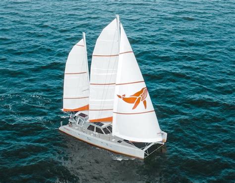 Luxury <b>Catamaran</b> Sailboats. . Aluminium wharram catamaran for sale